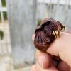 Mặt trái con voi