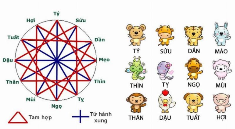 Bốn nhóm tam hợp trong 12 con giáp