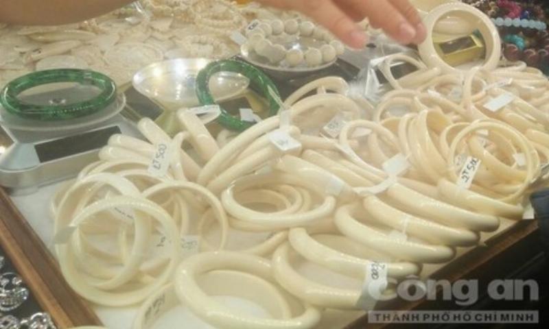 Chiếu đèn pin qua ngà voi để kiểm tra độ thật giả