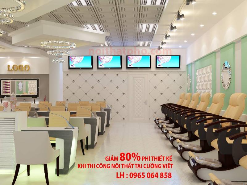 Chọn Chậu Cây Ngà Voi Cho Người Mệnh Thủy - Hình ảnh minh họa cây ngà voi trong chậu màu xanh dương, đặt trong phòng khách, mang lại cảm giác tươi mát và bình yên.