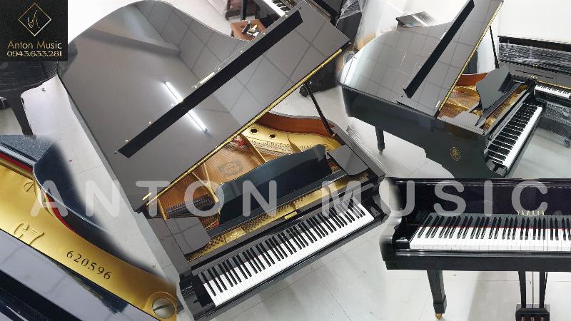 Mặt dây chuyền ngà voi bọc vàng sang trọng và tinh tế, thể hiện đẳng cấp và gu thẩm mỹ của người đeo.