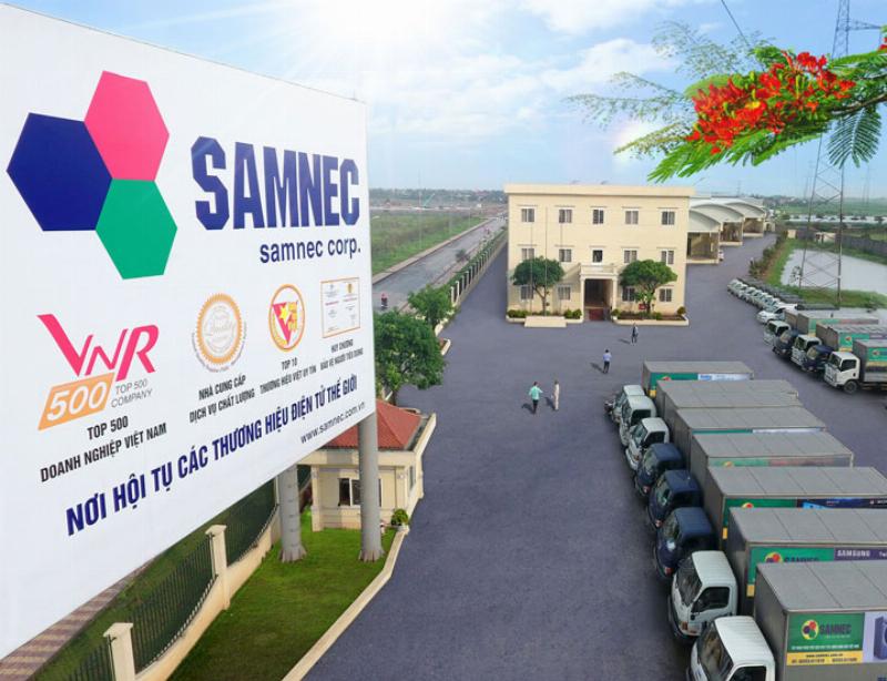 Nanh hổ vàng non 8K trong phong thủy