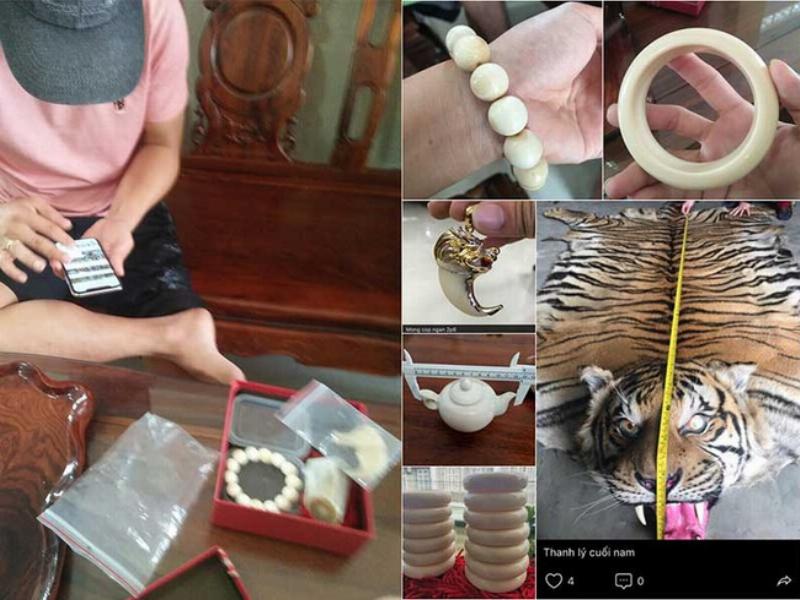 Nhẫn ngà voi có giá trị cao