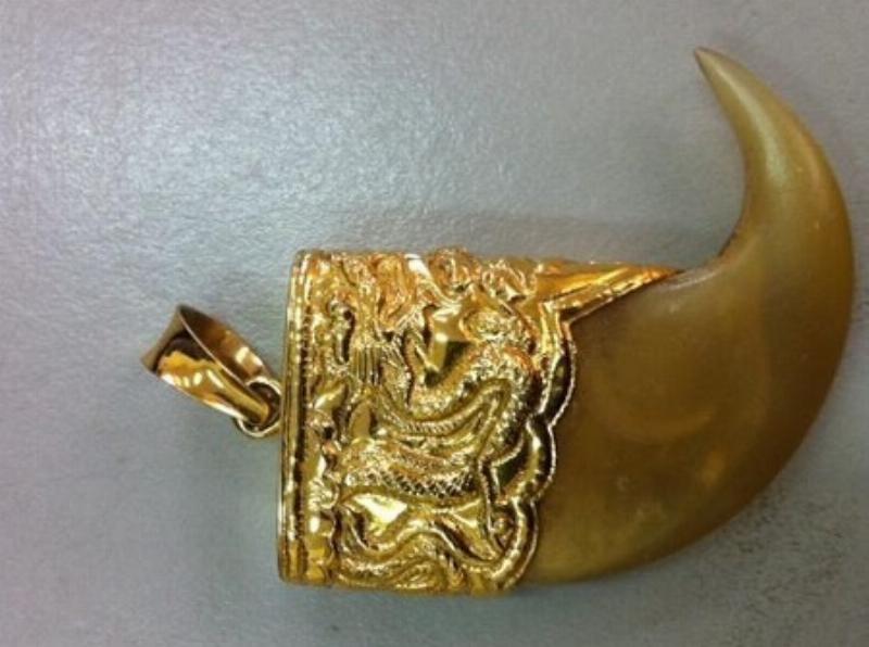 Cách phân biệt nanh hổ thật và giả