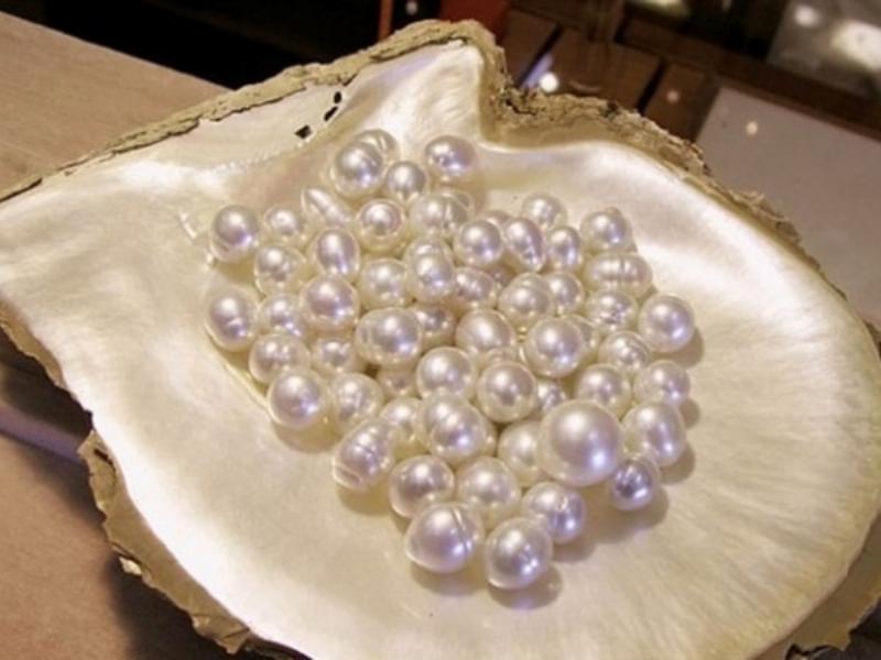 Phân loại các loại ngọc và mức giá tham khảo