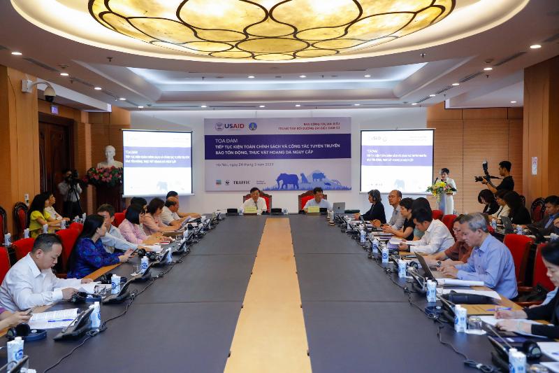 Vai trò của CITES trong bảo tồn voi