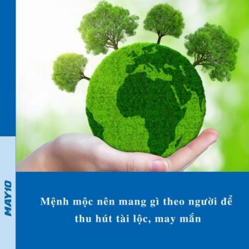 Vòng Ngà Voi Mệnh Mộc Phong Thủy Tài Lộc