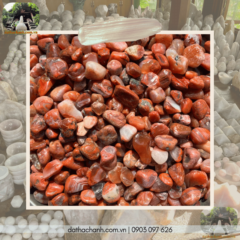 Vòng tay gỗ Huyết Rồng và đá Mã Não Đỏ cho mệnh Hỏa, tăng cường năng lượng tích cực và may mắn