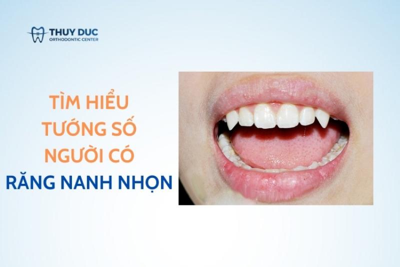 Ý nghĩa phong thủy của nanh hổ - Hình ảnh minh họa nanh hổ được đặt trang trọng, thể hiện giá trị và ý nghĩa tâm linh.