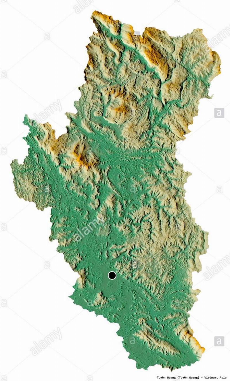 Cao Sơn Dương Và Công Dụng Tuyệt Vời Trong Phong Thủy