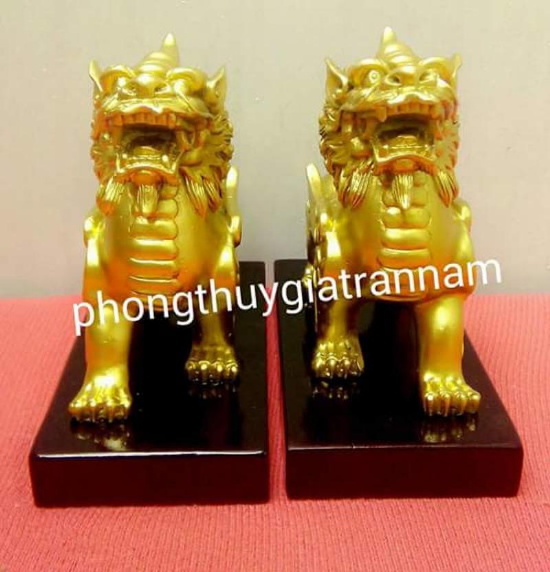 Ty huu phong thuy cho tuoi hoi mang lai tai loc va may man