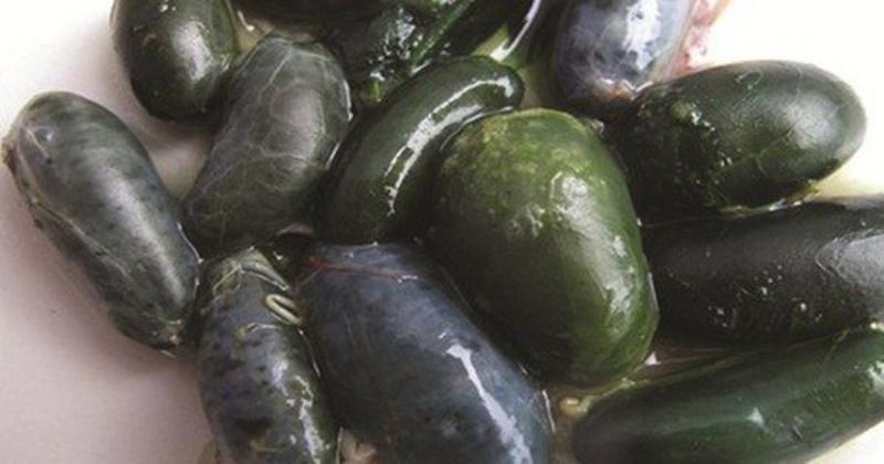 mat-ran-tuoi-cong-dung-va-cach-dung