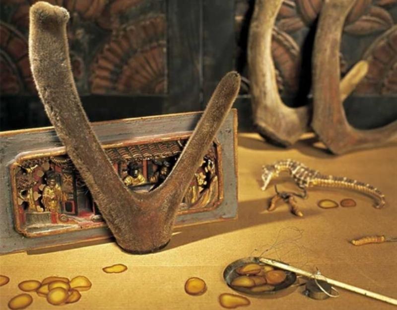 Quy trình nấu cao xương hươu truyền thống