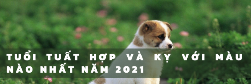 tuong-cho-phong-thuy-menh-kim-hop-tuoi-tuat