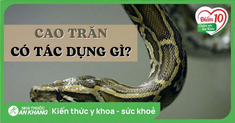 cao trăn hỗ trợ điều trị các bệnh về xương khớp, thoái hóa khớp, viêm khớp