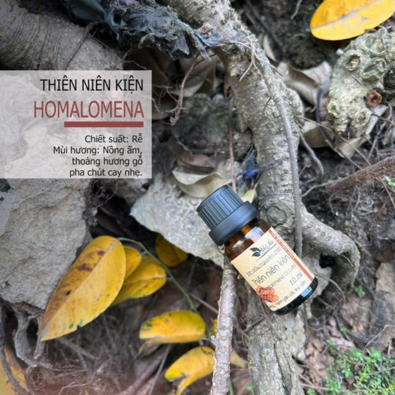 Hũ thủy tinh đựng cao xương hươu đặt trên bàn gỗ tối màu