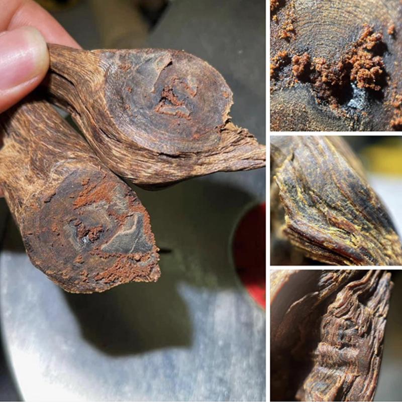 so sánh màu sắc và vân dầu trầm hương hoàng lạp và kỳ nam