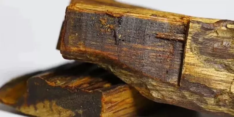 Trầm hương kỳ nam là gì, cách nhận biết và phân biệt các loại kỳ nam