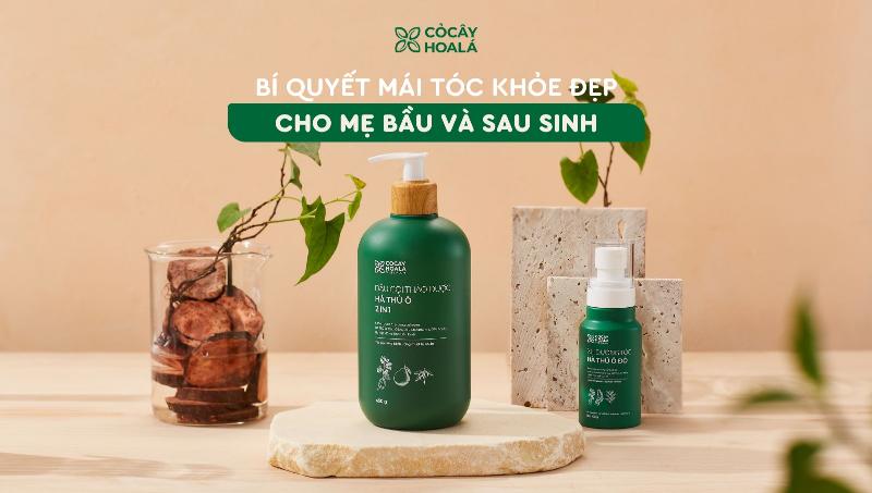 Cao Mai Bà Bà: Bí quyết chăm sóc sức khỏe phụ nữ từ thảo dược