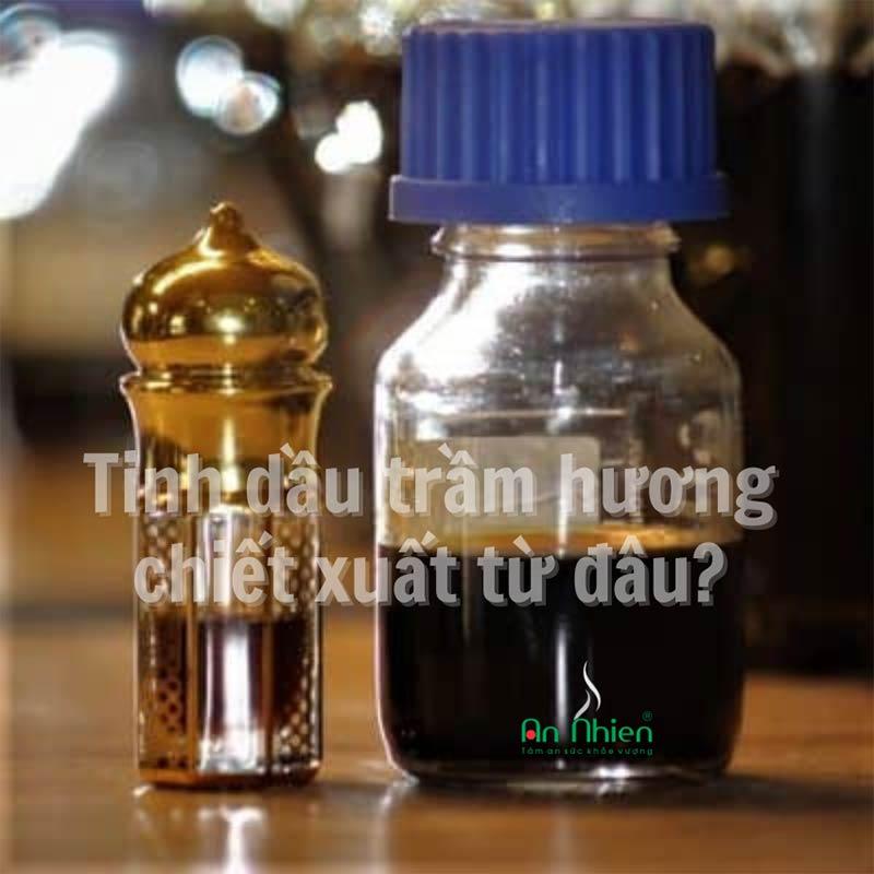 Tinh dầu trầm hương nguyên chất được chiết xuất từ gỗ cây dó bầu