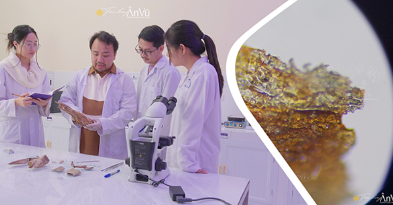 Trà trầm hương giúp ngủ ngon, thư giãn tinh thần, hỗ trợ giấc ngủ sâu