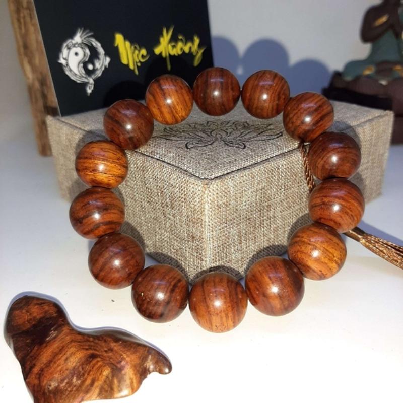 Trầm hương Indonesia tự nhiên trong rừng già, môi trường sống lý tưởng