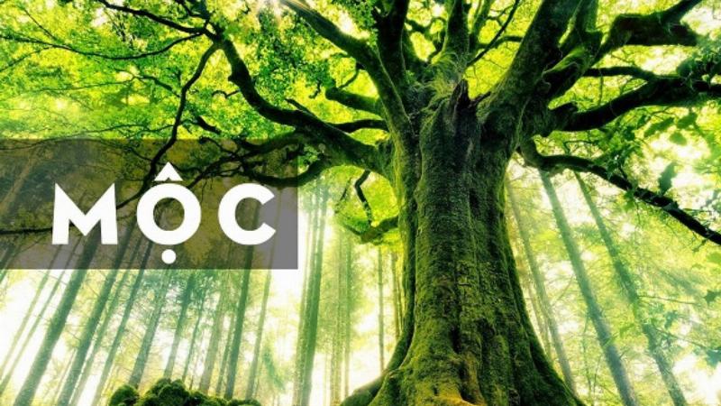 vòng tay ngọc bích xanh lý cho người mệnh Mộc mang lại sự giàu sang và phú quý